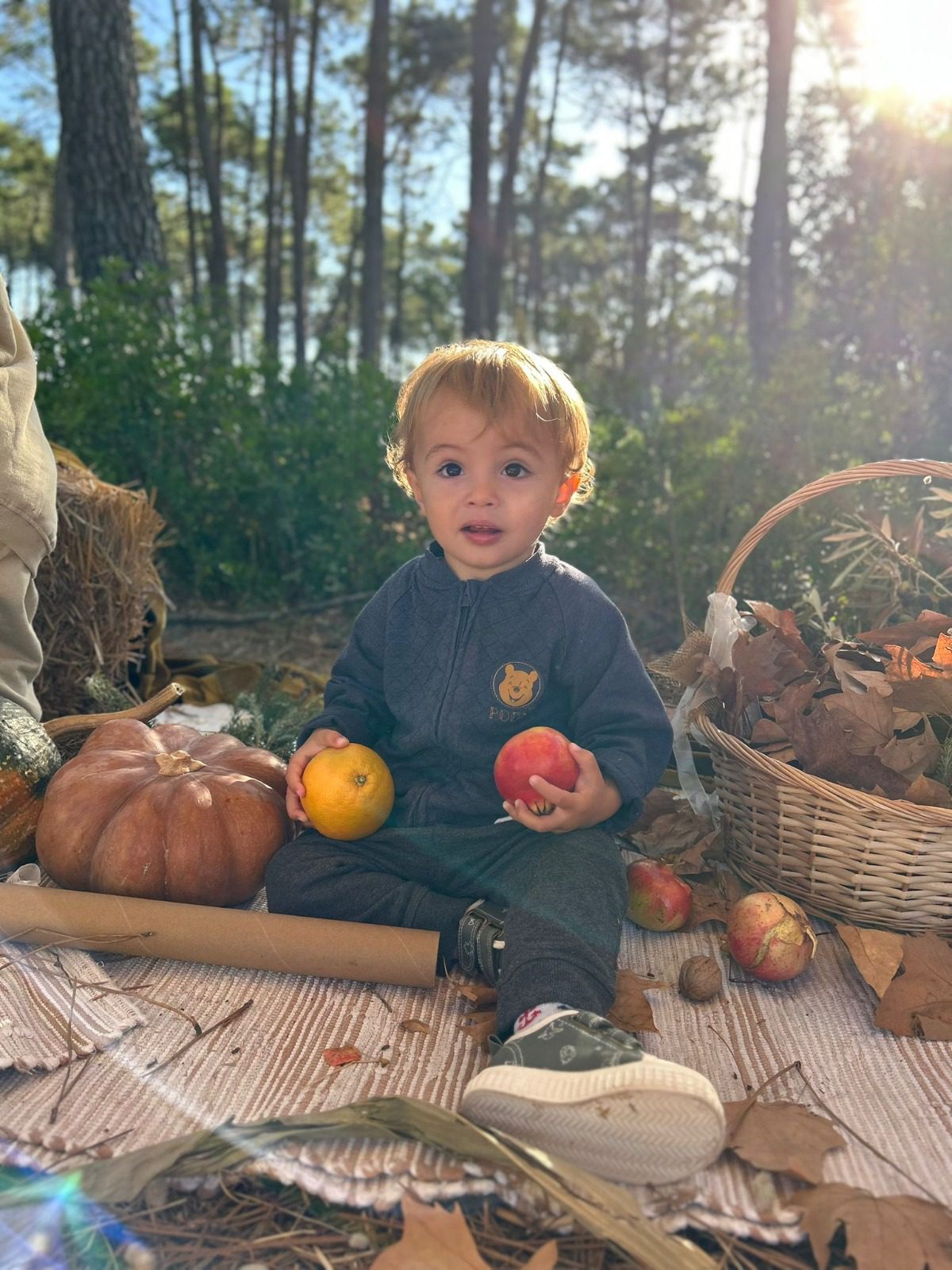 9f96e889-9e87-4028-af10-ac41d6cdfc81